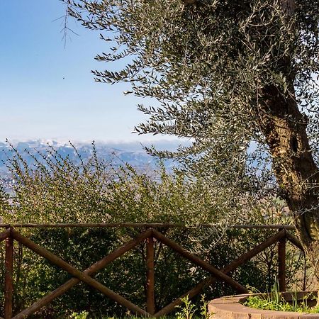 La Merlana Affittacamere Morrovalle Экстерьер фото