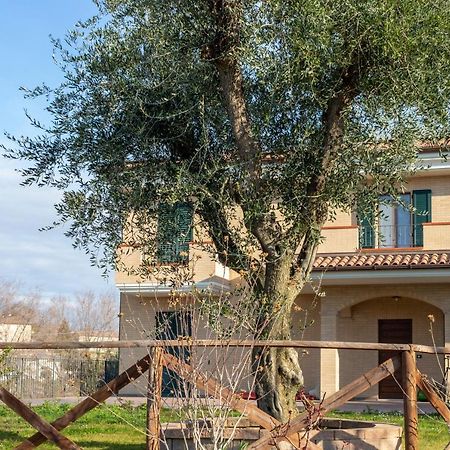 La Merlana Affittacamere Morrovalle Экстерьер фото