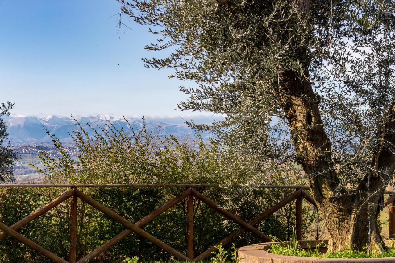 La Merlana Affittacamere Morrovalle Экстерьер фото