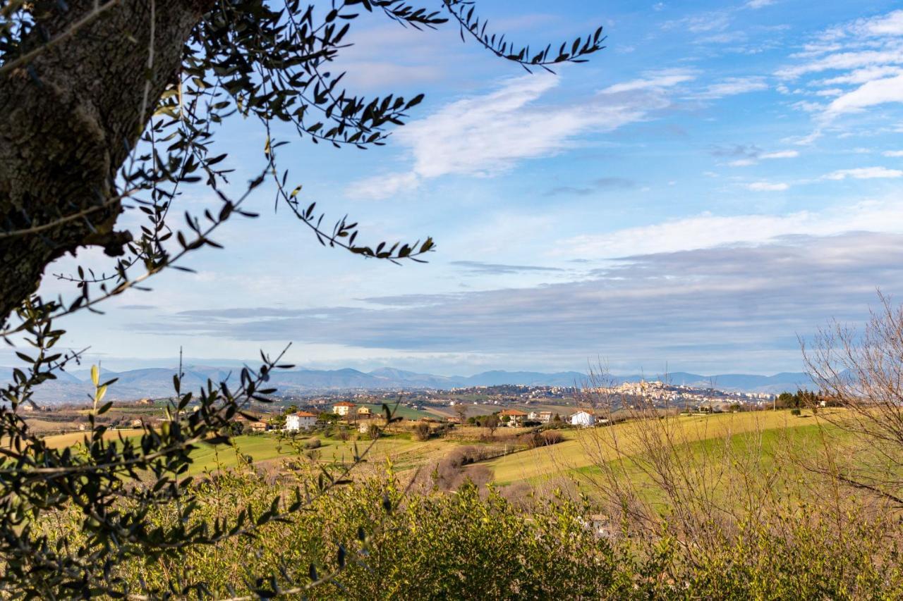 La Merlana Affittacamere Morrovalle Экстерьер фото